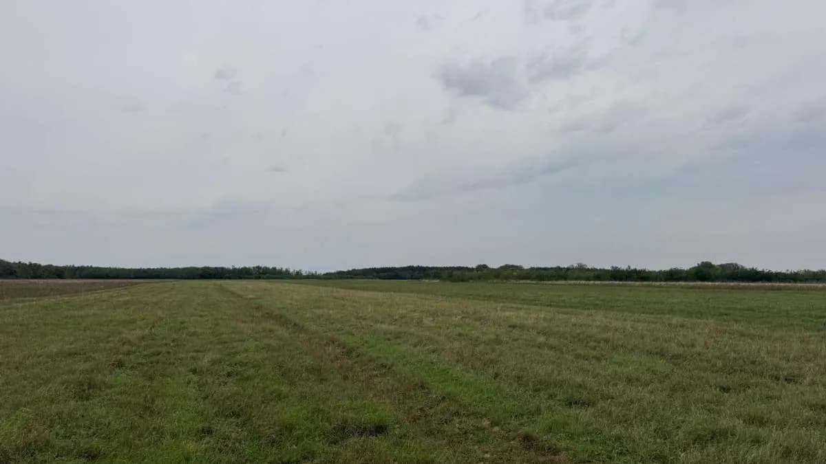 Grundstück kaufen in Österreich – 2 829 m², € 9.350 – Bild 12 von 15