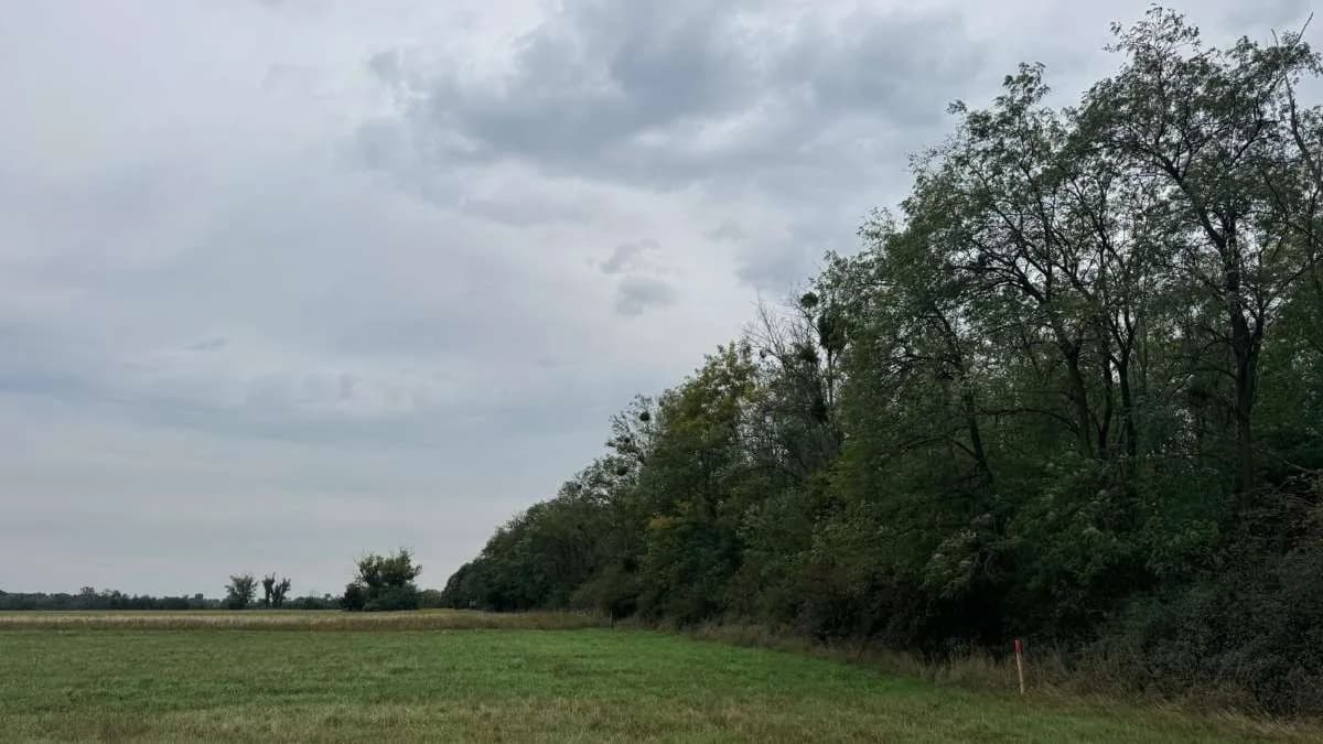 Grundstück kaufen in Österreich – 2 829 m², € 9.350 – Bild 13 von 15