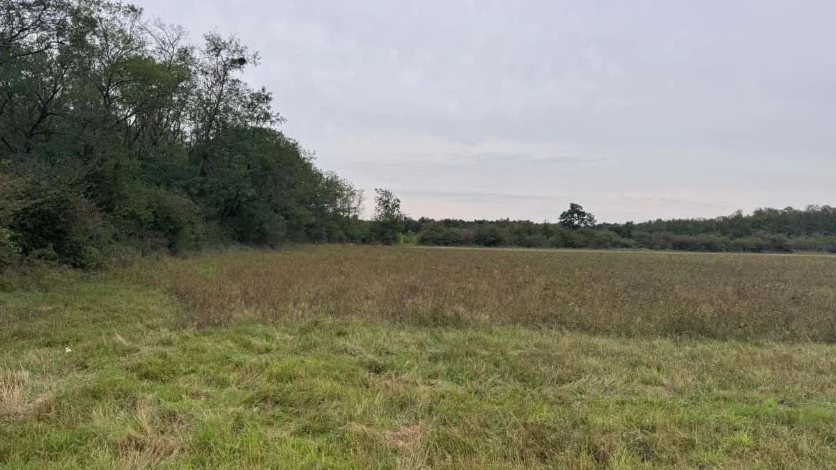 Grundstück kaufen in Österreich – 2 829 m², € 9.350 – Bild 14 von 15