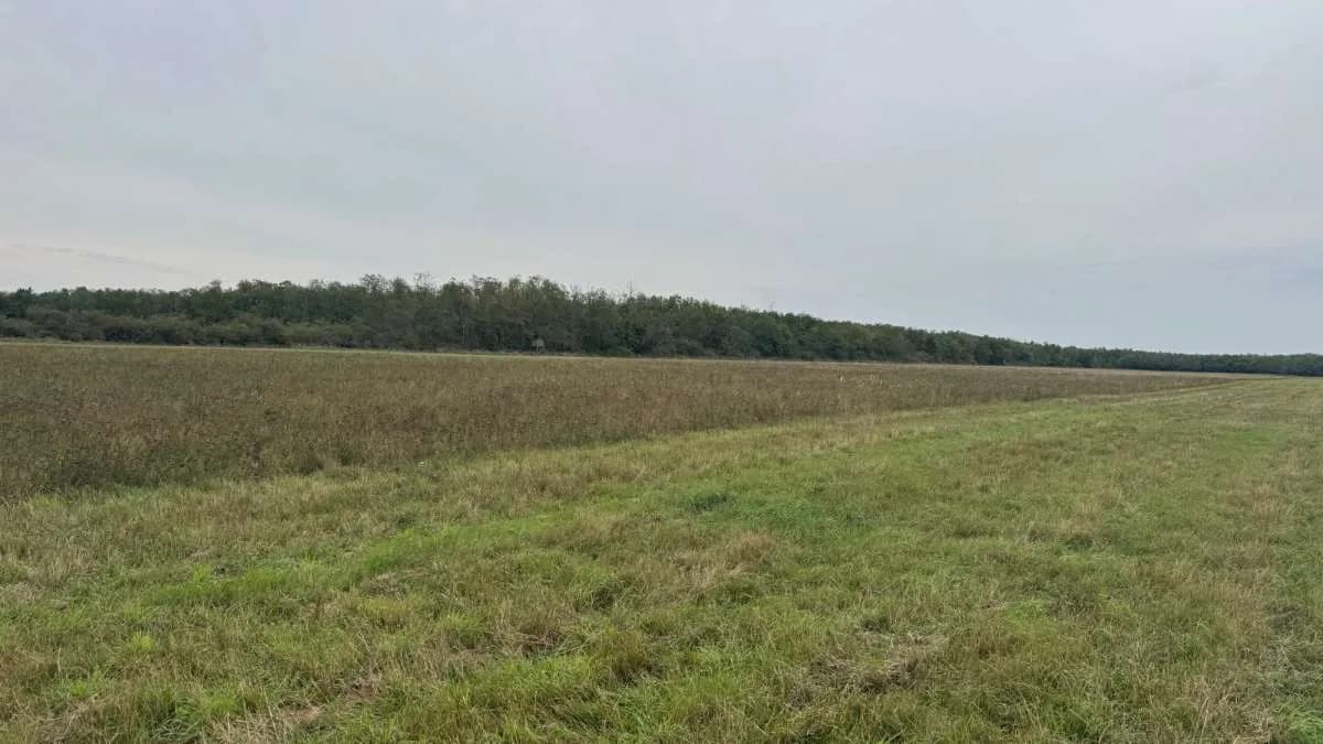 Grundstück kaufen in Österreich – 2 829 m², € 9.350 – Bild 15 von 15