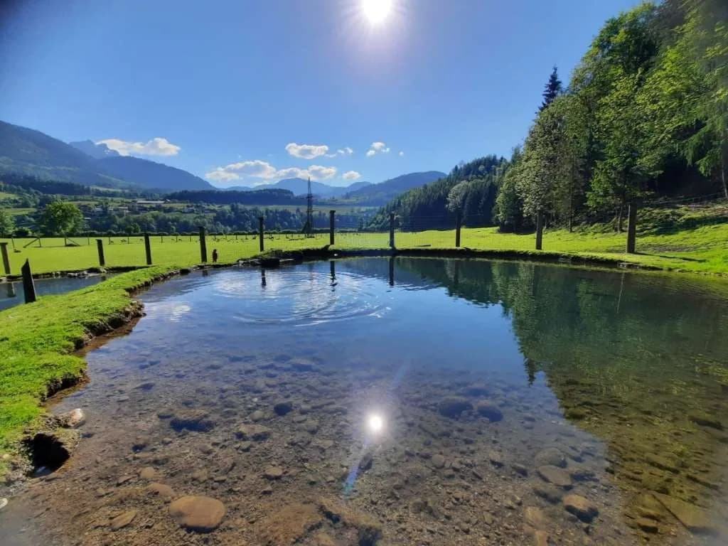Grundstück kaufen in Sankt Johann im Pongau – 397 000 m² – Bild 15 von 21