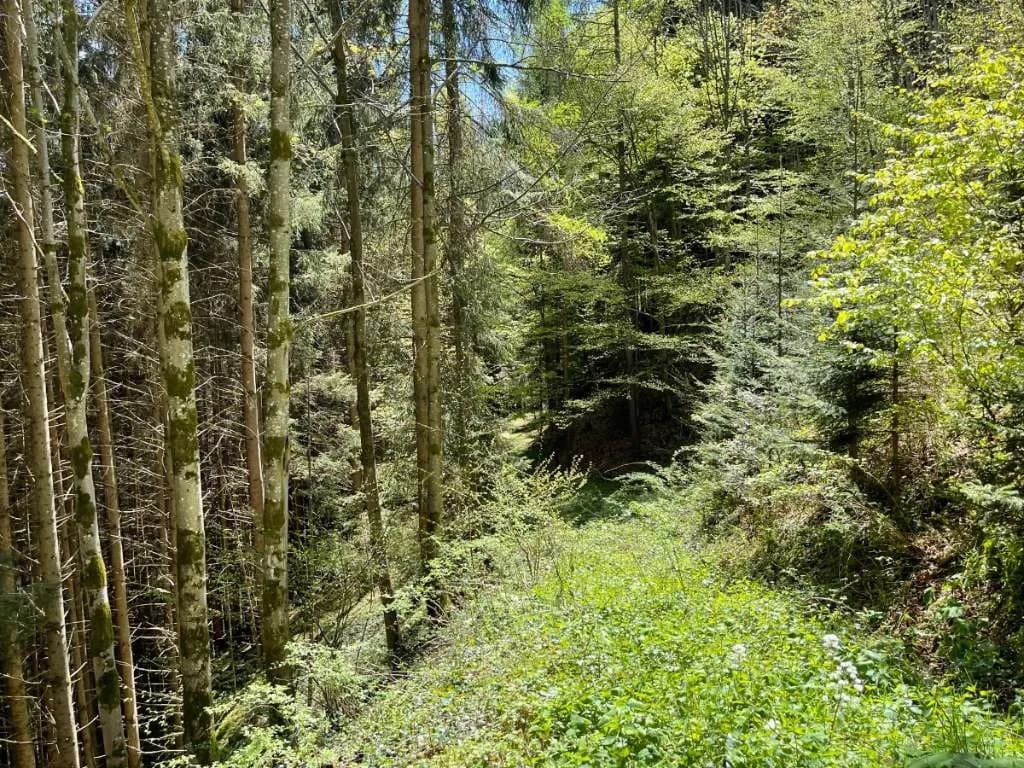 Grundstück kaufen in Sankt Johann im Pongau – 397 000 m² – Bild 21 von 21