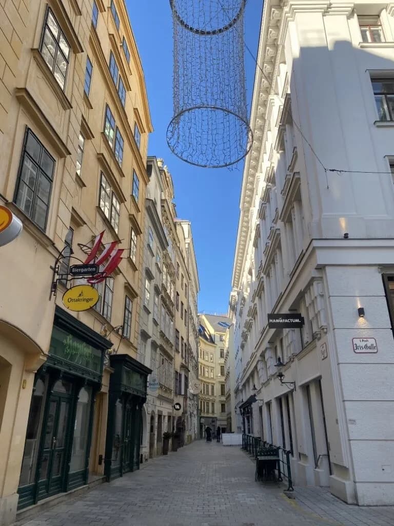5-Zimmer-Wohnung mieten in Wien – 255,48 m², € 6.401