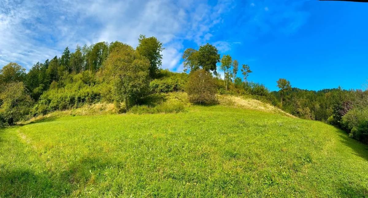 Grundstück kaufen in Graz-Umgebung – 5 200 m², € 390.000 – Bild 4 von 7