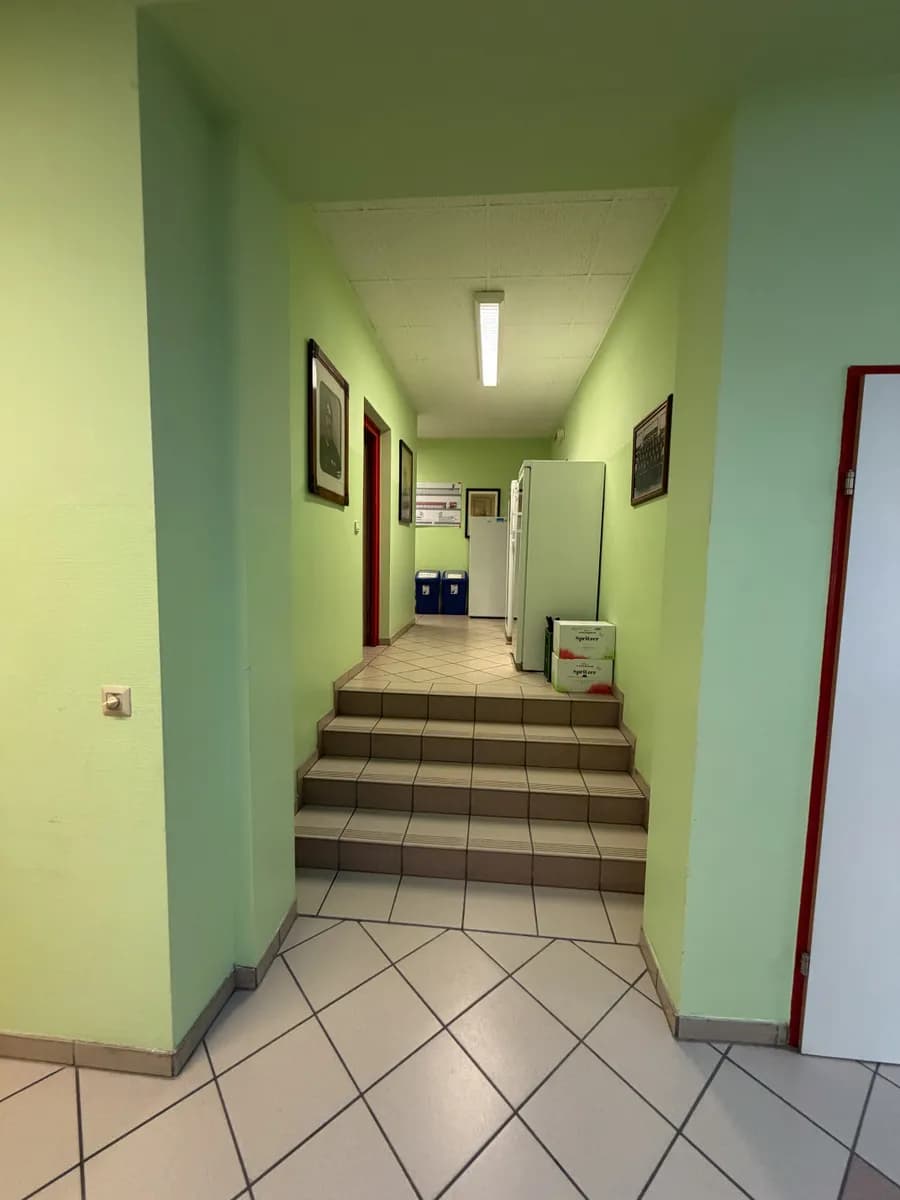 Gewerbeimmobilie kaufen in Bruck-Mürzzuschlag – 2 630 m² – Bild 6 von 44