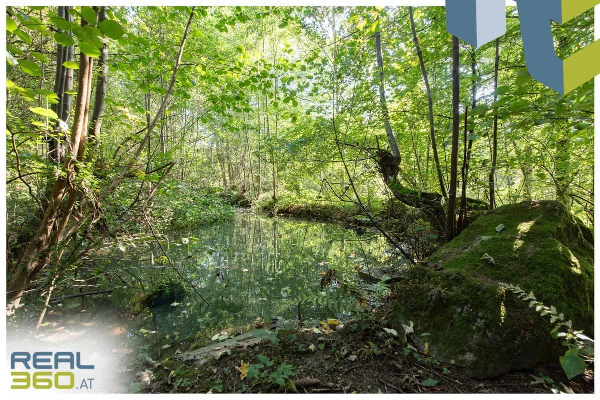 Grundstück kaufen in Urfahr-Umgebung – 8 512 m², € 598.000 – Bild 7 von 16