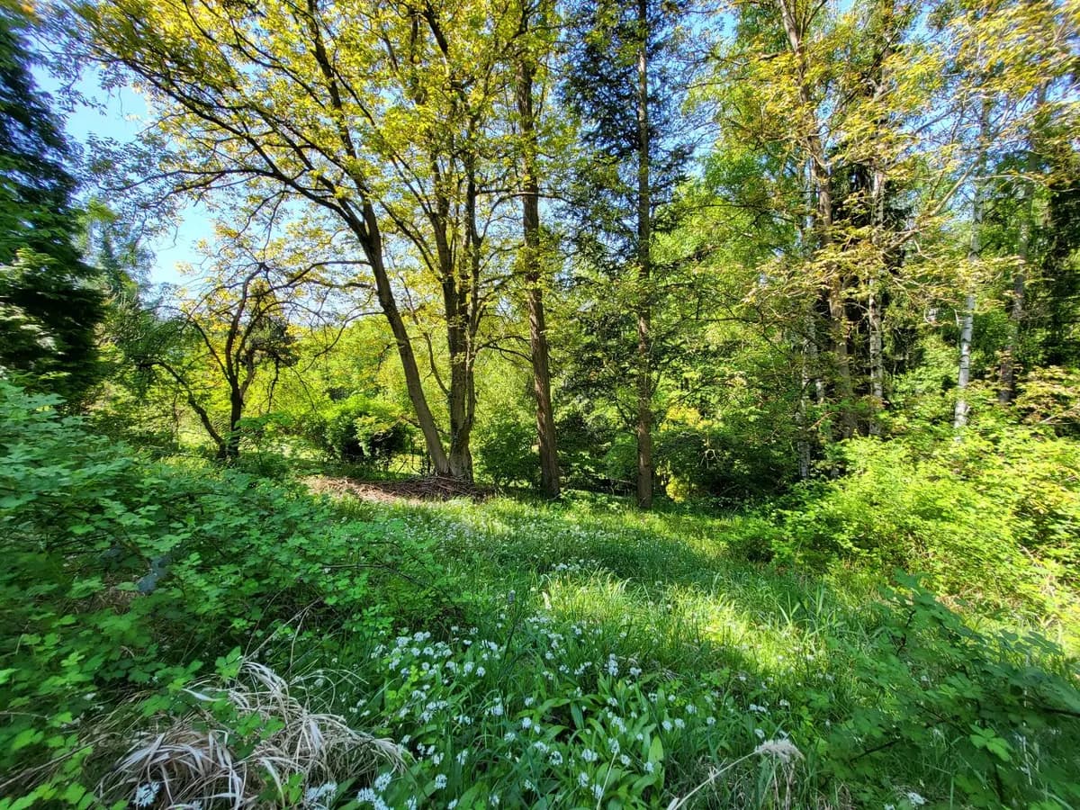 Grundstück kaufen in Sankt Pölten Land – 1 584 m², € 450.000 – Bild 5 von 8