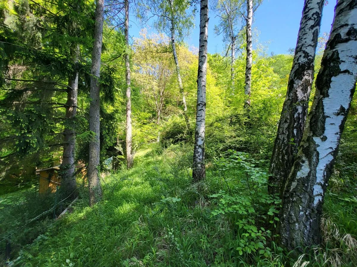 Grundstück kaufen in Sankt Pölten Land – 1 584 m², € 450.000 – Bild 6 von 8