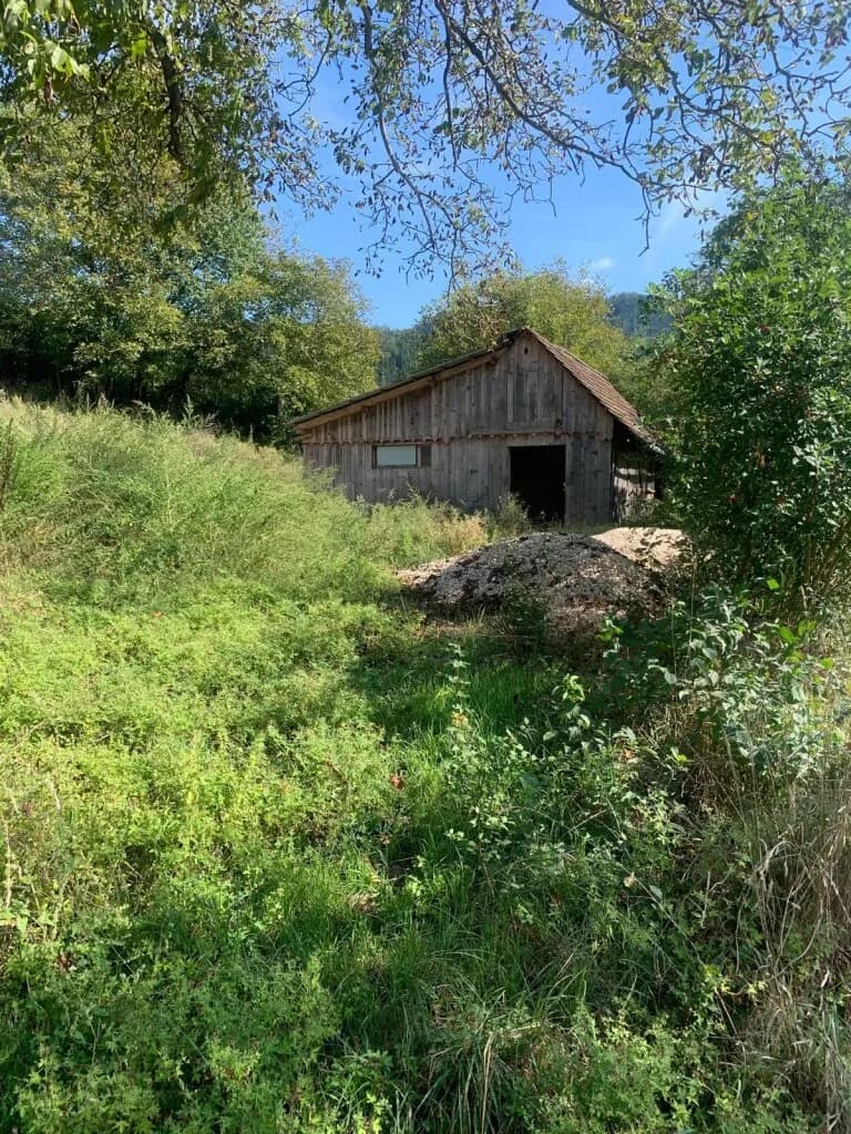 Grundstück kaufen in Sankt Veit an der Glan – 27 000 m², € 249.000