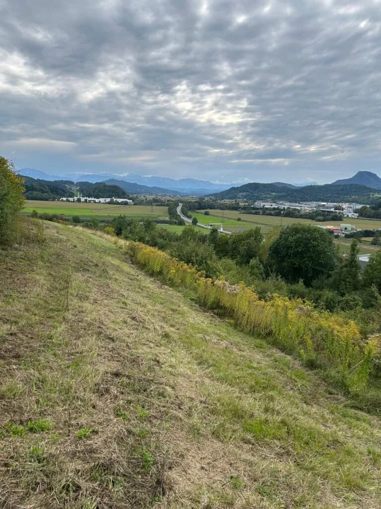 Grundstück kaufen in Sankt Veit an der Glan – 27 000 m², € 249.000 – Bild 2 von 12