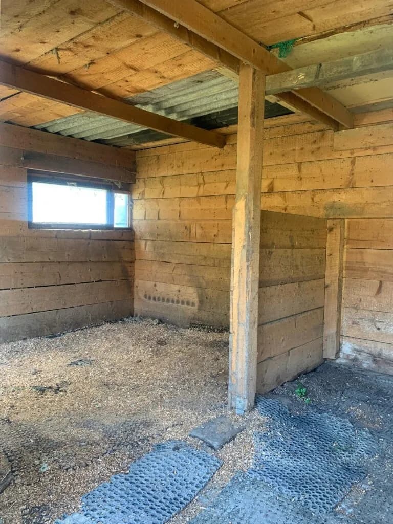 Grundstück kaufen in Sankt Veit an der Glan – 27 000 m², € 249.000 – Bild 3 von 12