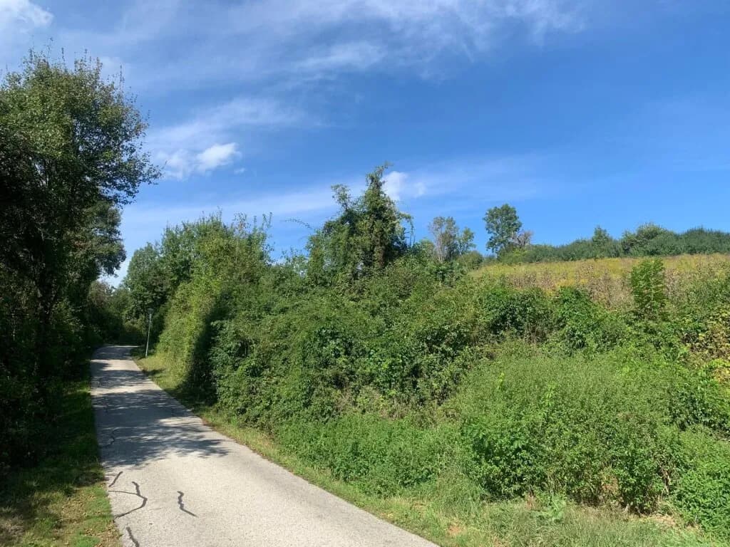 Grundstück kaufen in Sankt Veit an der Glan – 27 000 m², € 249.000 – Bild 5 von 12