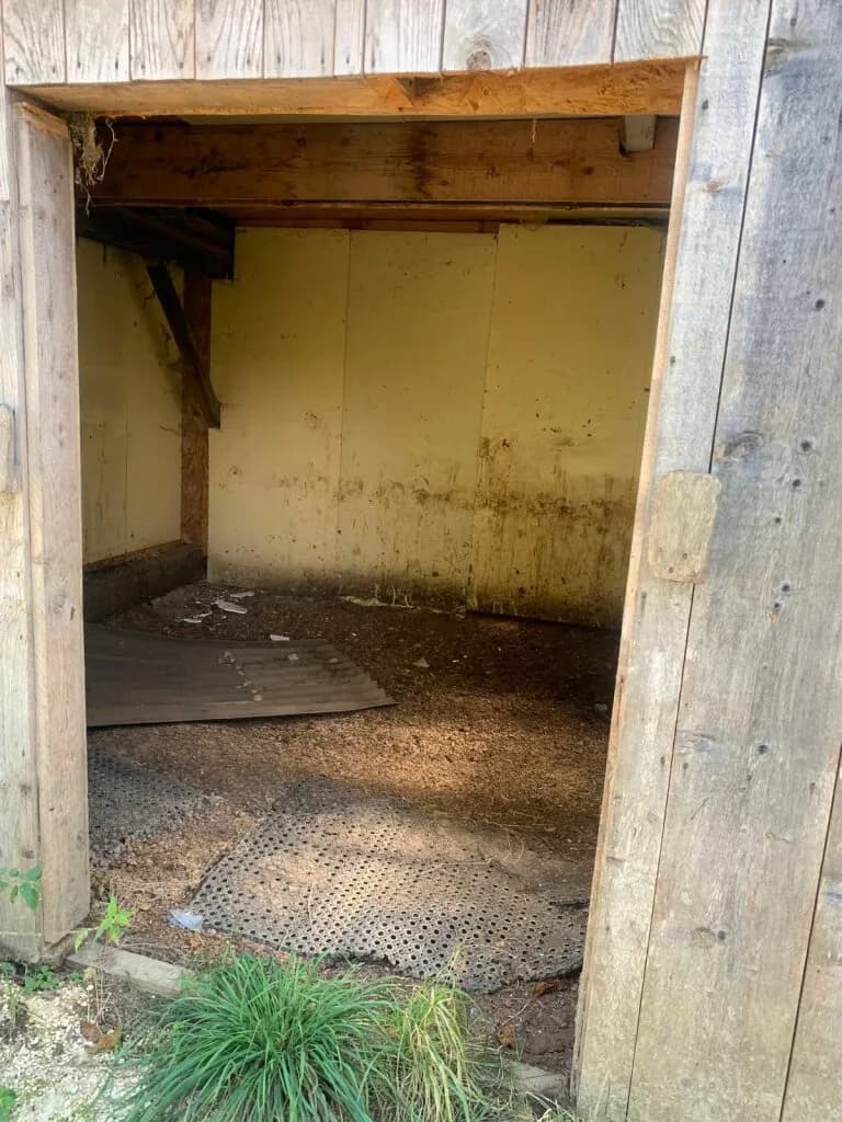 Grundstück kaufen in Sankt Veit an der Glan – 27 000 m², € 249.000 – Bild 9 von 12