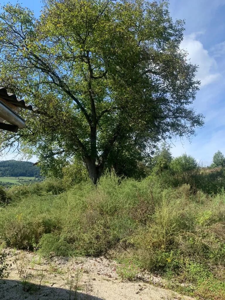 Grundstück kaufen in Sankt Veit an der Glan – 27 000 m², € 249.000 – Bild 10 von 12