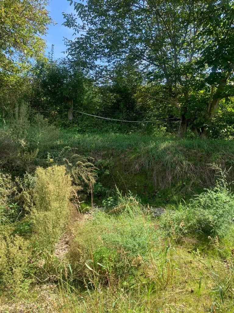 Grundstück kaufen in Sankt Veit an der Glan – 27 000 m², € 249.000 – Bild 11 von 12