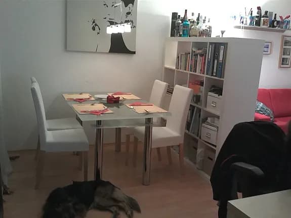 Wohnung mieten in Leoben – 42 m², € 450 – Bild 4 von 18