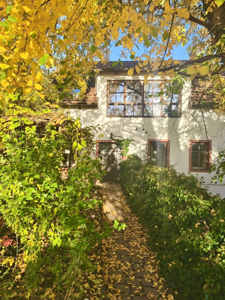 Wohnung mieten in Krems an der Donau – 35 m², € 620 – Bild 11 von 11