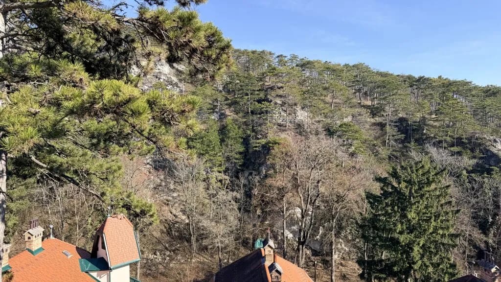 8-Zimmer-Haus kaufen in Baden – 209 m², € 1.190.000 – Bild 2 von 23