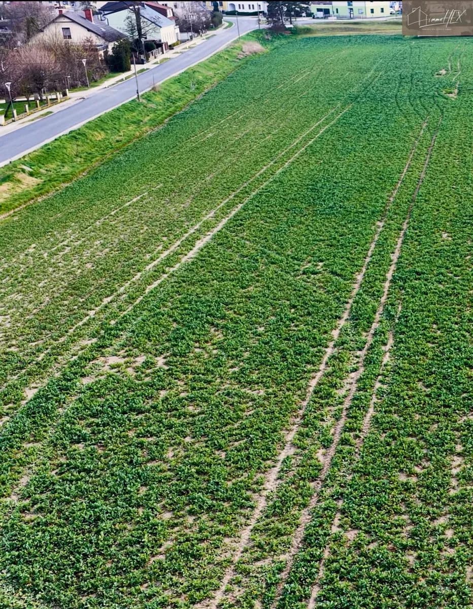 Grundstück kaufen in Gänserndorf – 741 m², € 211.000 – Bild 2 von 4