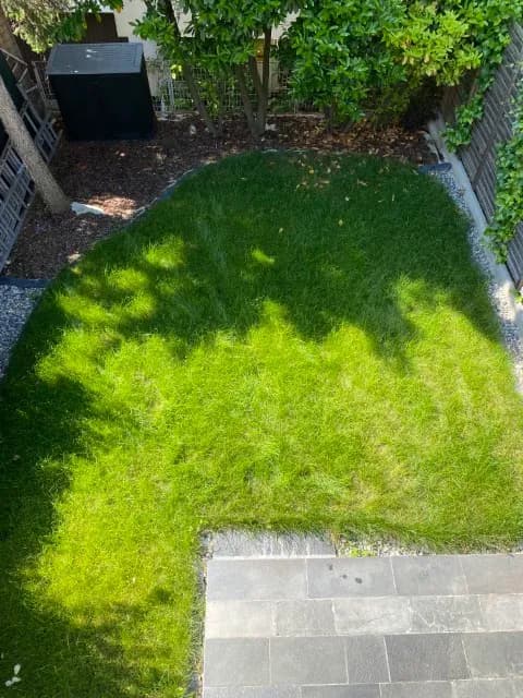 5-Zimmer-Haus mieten in Wien – 112 m², € 2.756 – Bild 2 von 34
