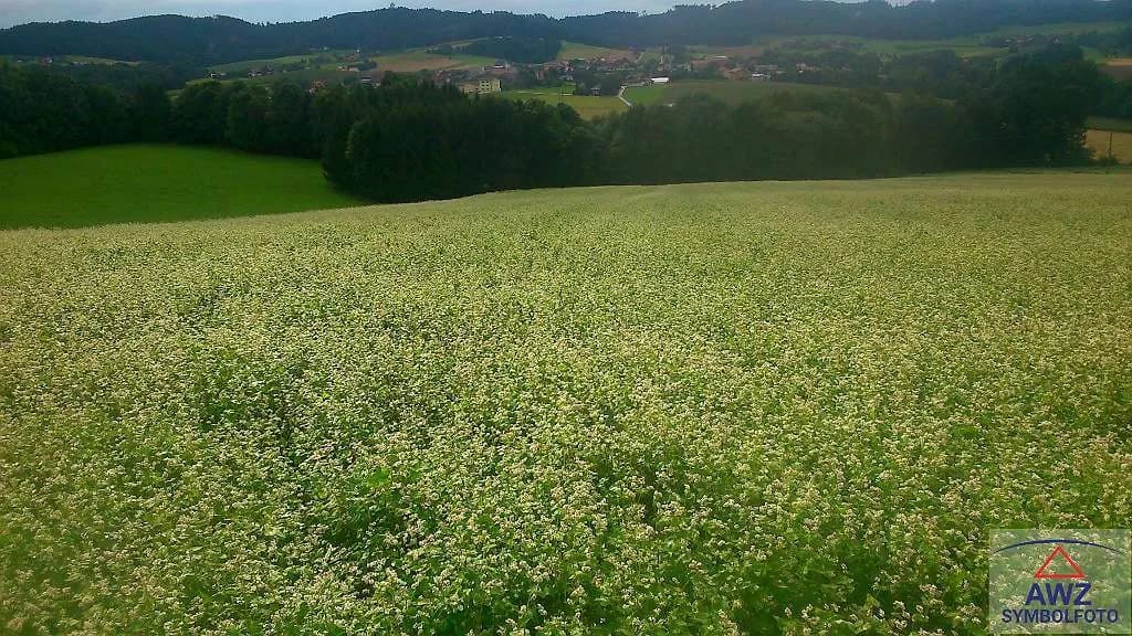 Grundstück kaufen in Sankt Pölten Land – 2 337 m²