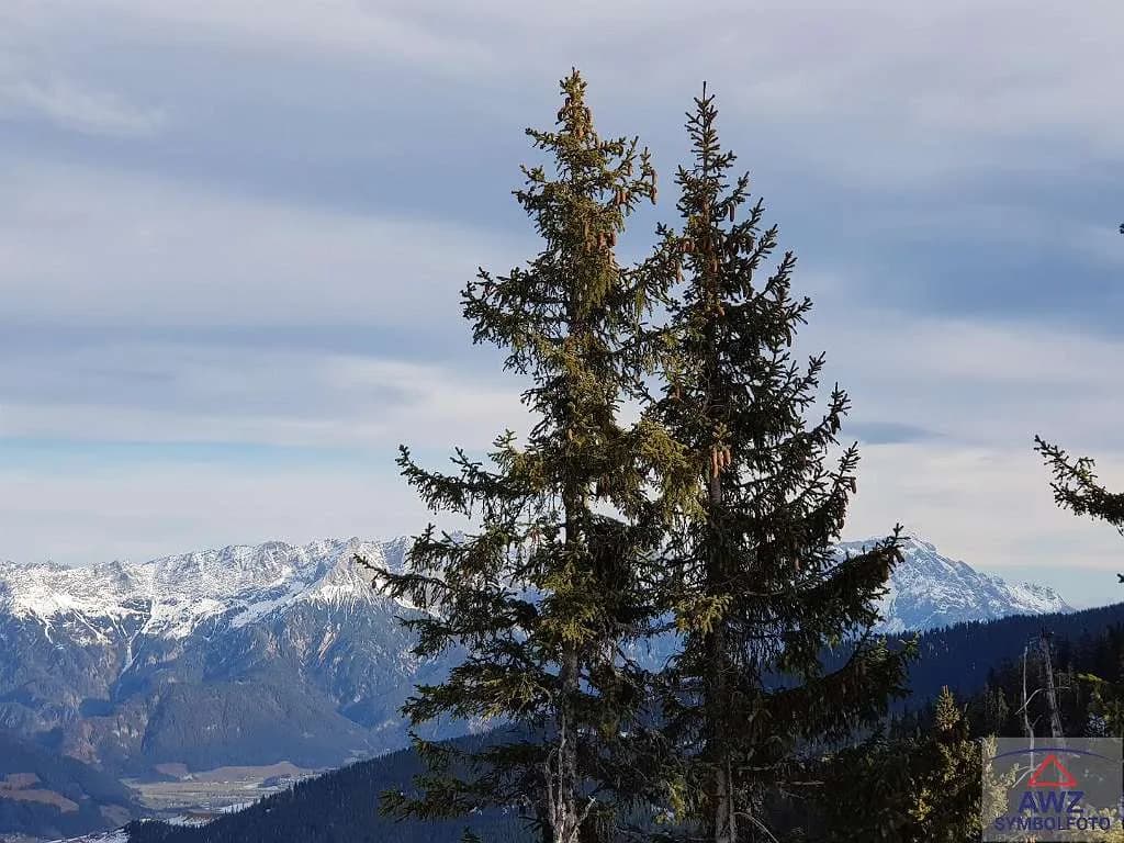 Grundstück kaufen in Sankt Pölten Land – 2 337 m² – Bild 2 von 2