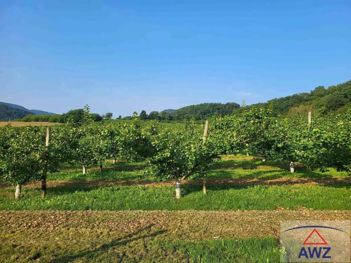 Grundstück kaufen in Krems Land – 81 000 m² – Bild 2 von 6