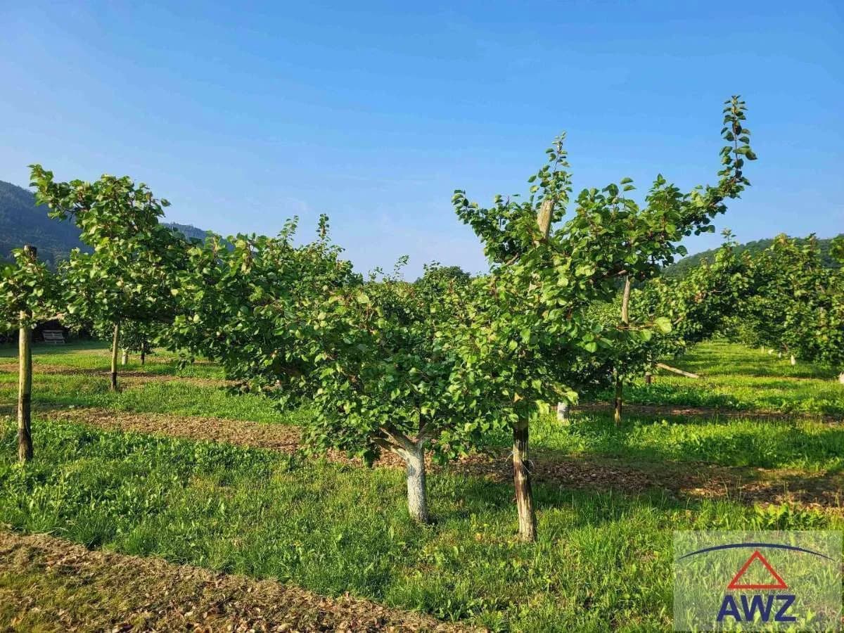 Grundstück kaufen in Krems Land – 81 000 m² – Bild 6 von 6