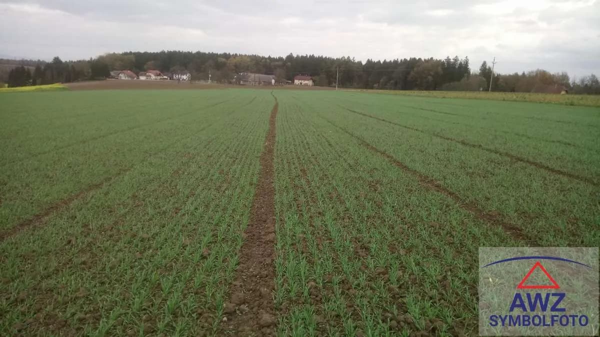 Grundstück kaufen in Horn – 125 000 m²