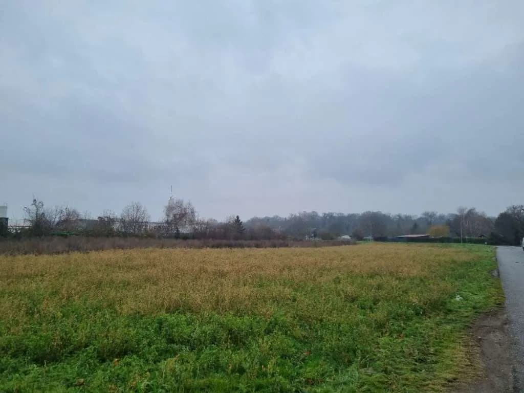 Immobilie mieten in Bruck an der Leitha – 2 500 m², € 3 – Bild 3 von 4