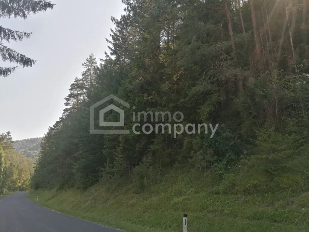 Haus kaufen in Wiener Neustadt Land – 130 m², € 279.000 – Bild 7 von 8