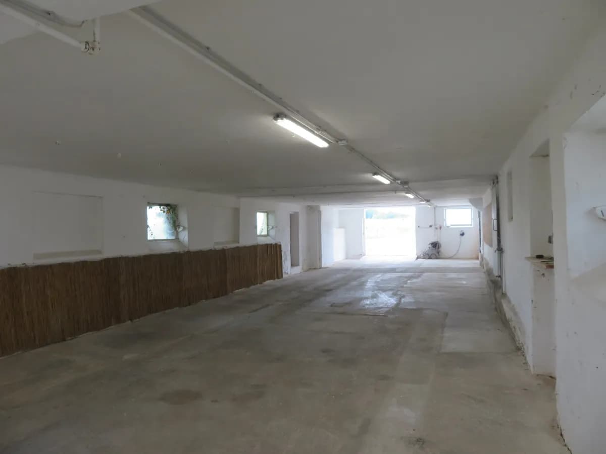 Gewerbeimmobilie mieten in Grieskirchen – 160 m², € 350