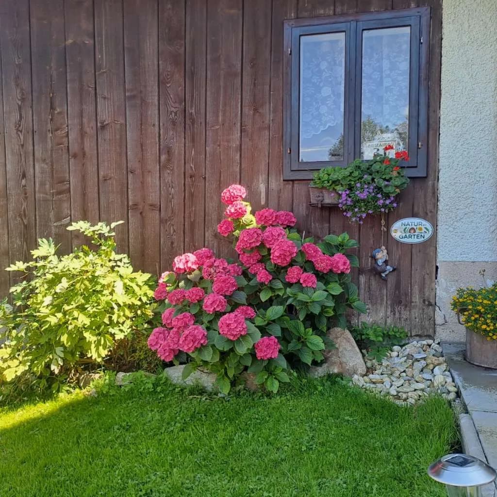 5-Zimmer-Wohnung mieten in Scheibbs – 68 m², € 665 – Bild 5 von 45