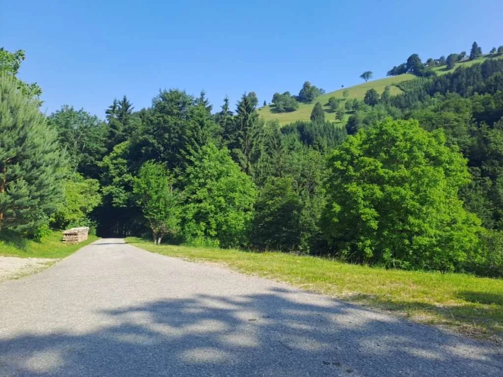 5-Zimmer-Wohnung mieten in Scheibbs – 68 m², € 665 – Bild 33 von 45