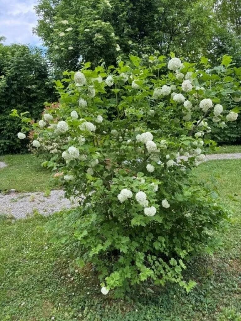 5-Zimmer-Haus kaufen in Baden – 264,9 m², € 1.050.000 – Bild 27 von 30
