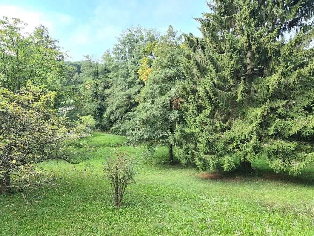 Grundstück kaufen in Sankt Pölten Land – 3 123 m², € 699.000 – Bild 3 von 4