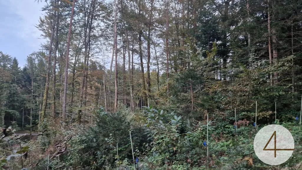 Grundstück kaufen in Deutschlandsberg – 104 509 m², € 2.700.000 – Bild 3 von 5