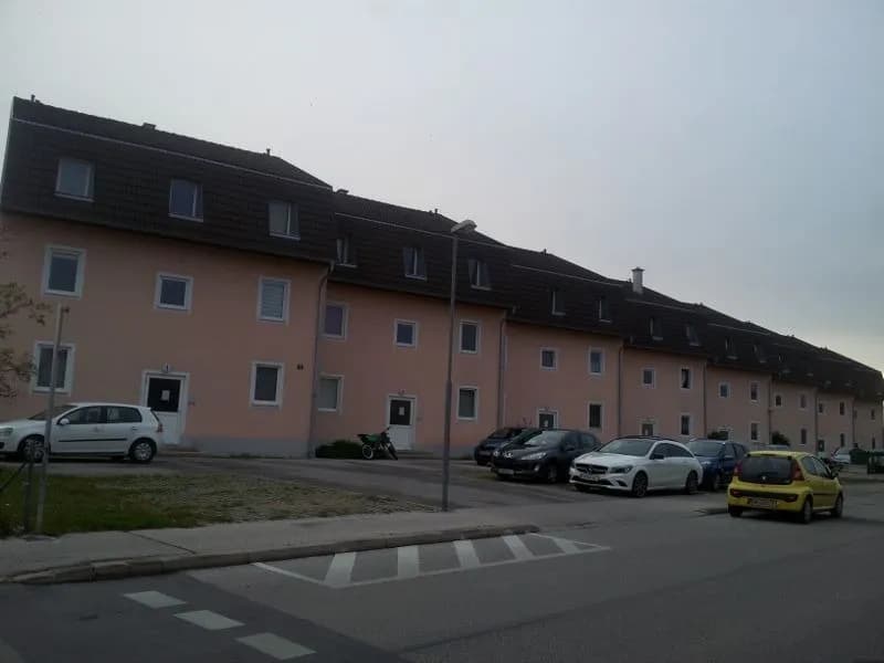 2-Zimmer-Wohnung mieten in Wiener Neustadt – 42 m², € 694