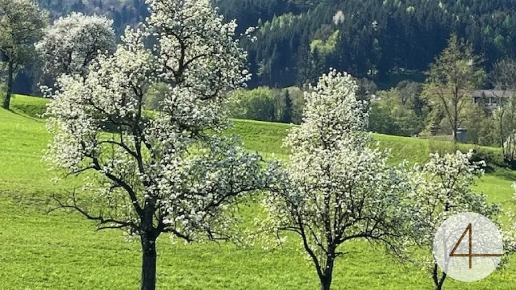 Haus kaufen in Scheibbs – 108 m², € 386.800 – Bild 5 von 5