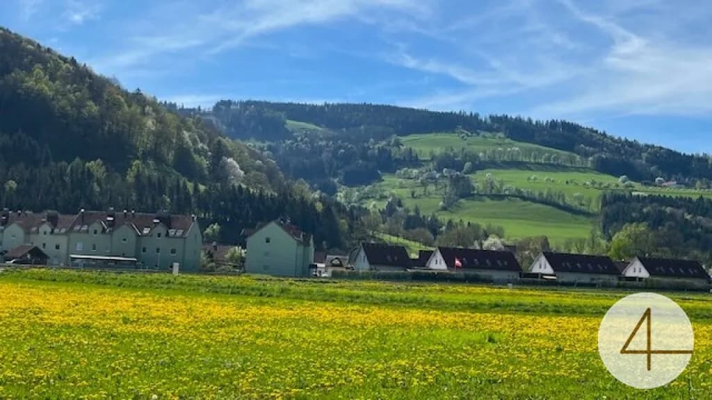 Grundstück kaufen in Scheibbs – 937 m², € 61.842