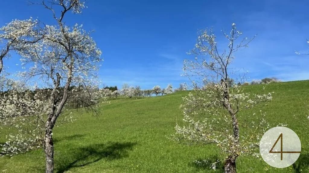 Grundstück kaufen in Scheibbs – 937 m², € 61.842 – Bild 2 von 6