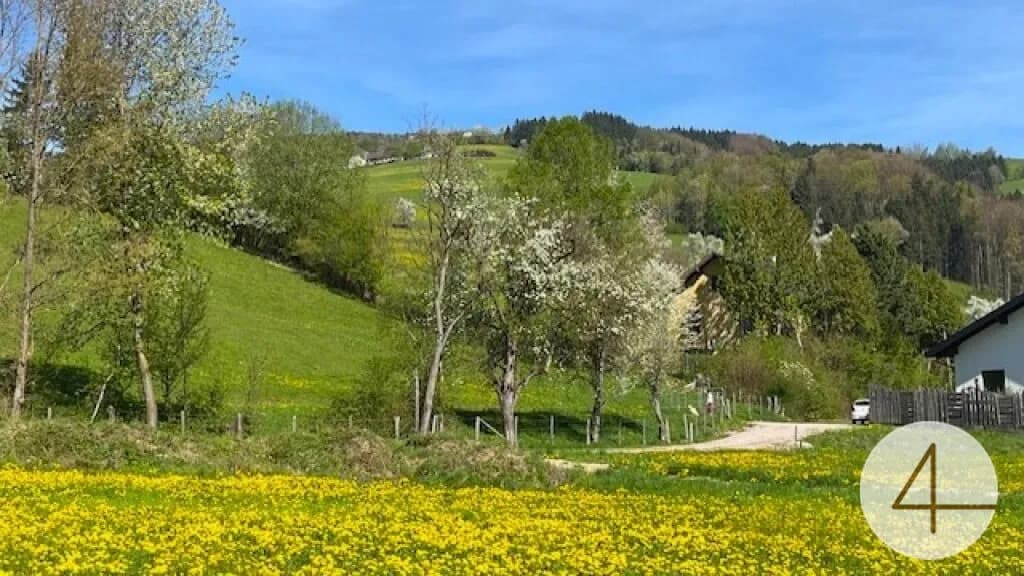 Grundstück kaufen in Scheibbs – 937 m², € 61.842 – Bild 3 von 6