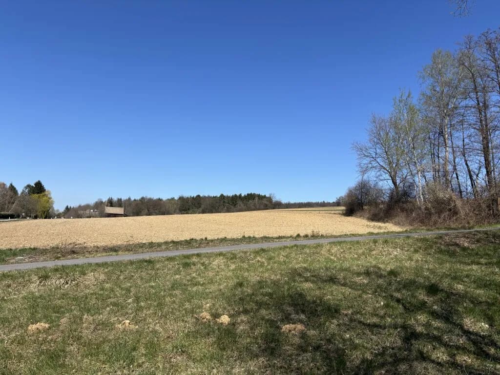 Grundstück kaufen in Oberpullendorf – 7 804 m², € 172.000 – Bild 3 von 8