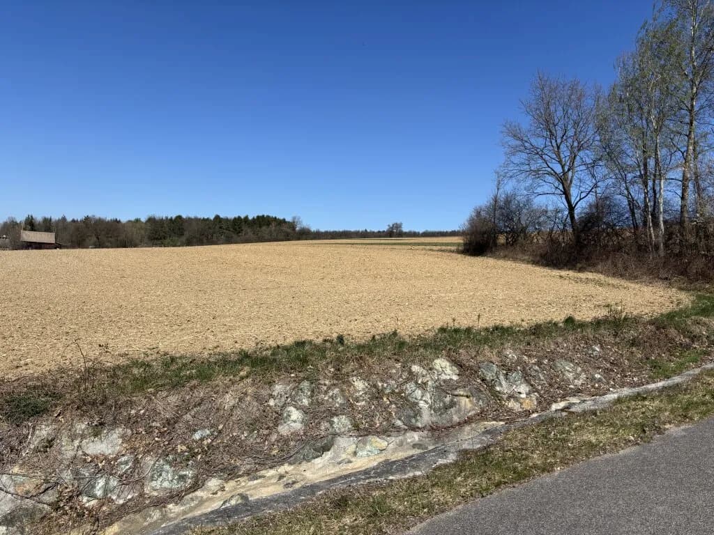 Grundstück kaufen in Oberpullendorf – 7 804 m², € 172.000 – Bild 6 von 8