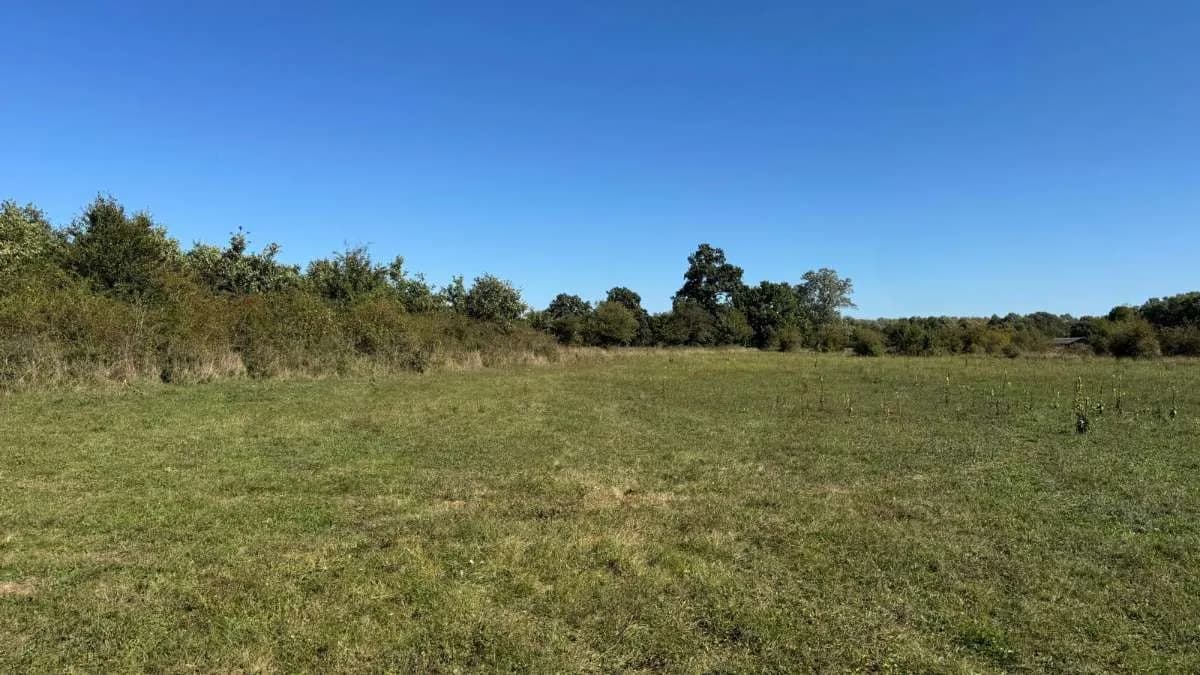 Immobilie kaufen in Österreich – 8 791 m², € 99.800 – Bild 8 von 13