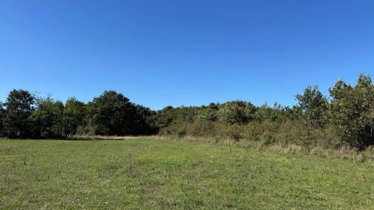 Immobilie kaufen in Österreich – 8 791 m², € 99.800 – Bild 9 von 13