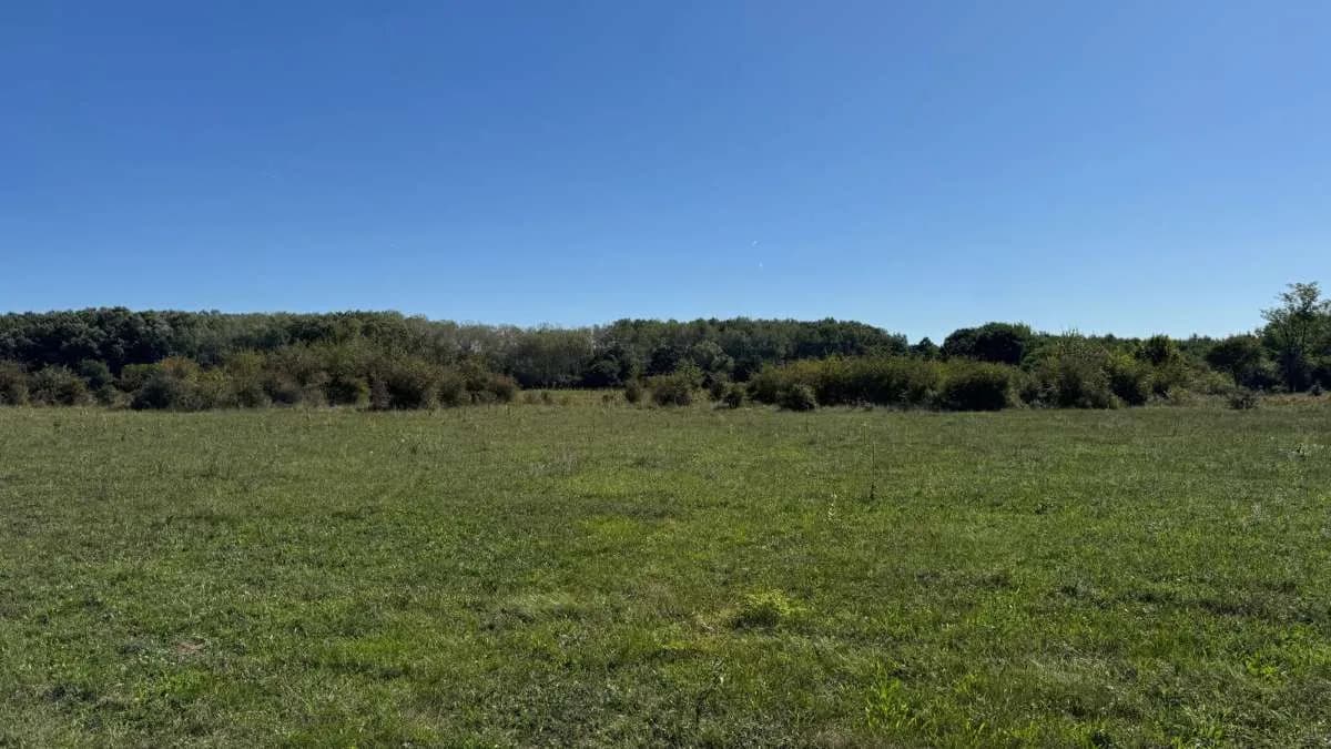 Immobilie kaufen in Österreich – 8 791 m², € 99.800 – Bild 10 von 13