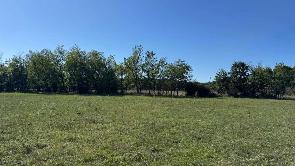 Immobilie kaufen in Österreich – 8 791 m², € 99.800 – Bild 12 von 13