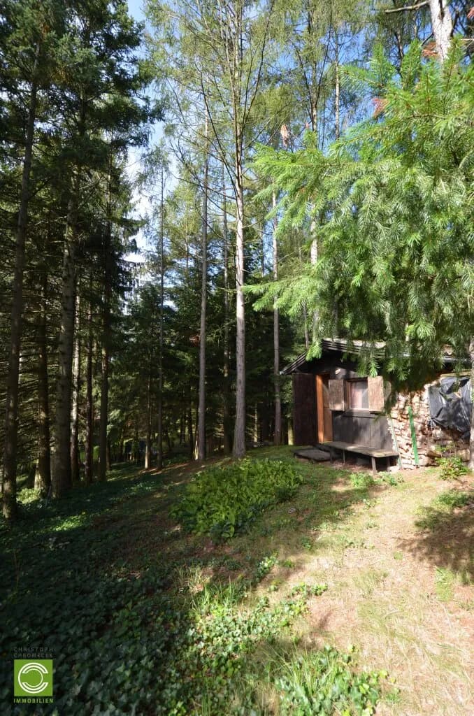 5-Zimmer-Haus kaufen in Mödling – 162 m², € 1.490.000 – Bild 11 von 38