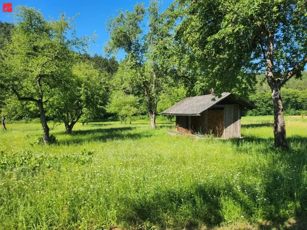 9-Zimmer-Grundstück kaufen in Völkermarkt – 384 m², € 1.700.000 – Bild 6 von 8